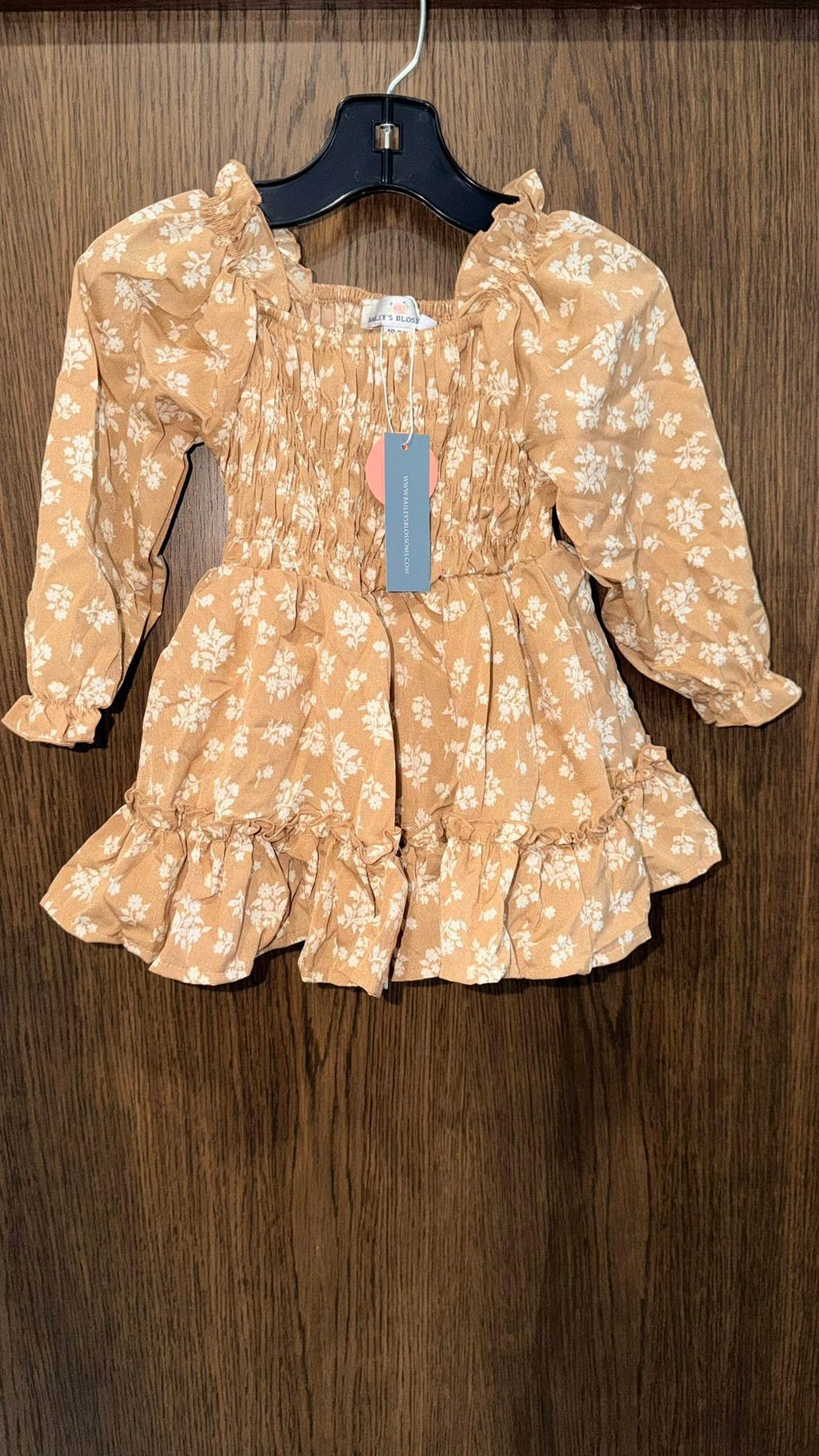 Baileys Blossoms Girls NWT Long Sleeve Ruffle Dress 18-24 mos