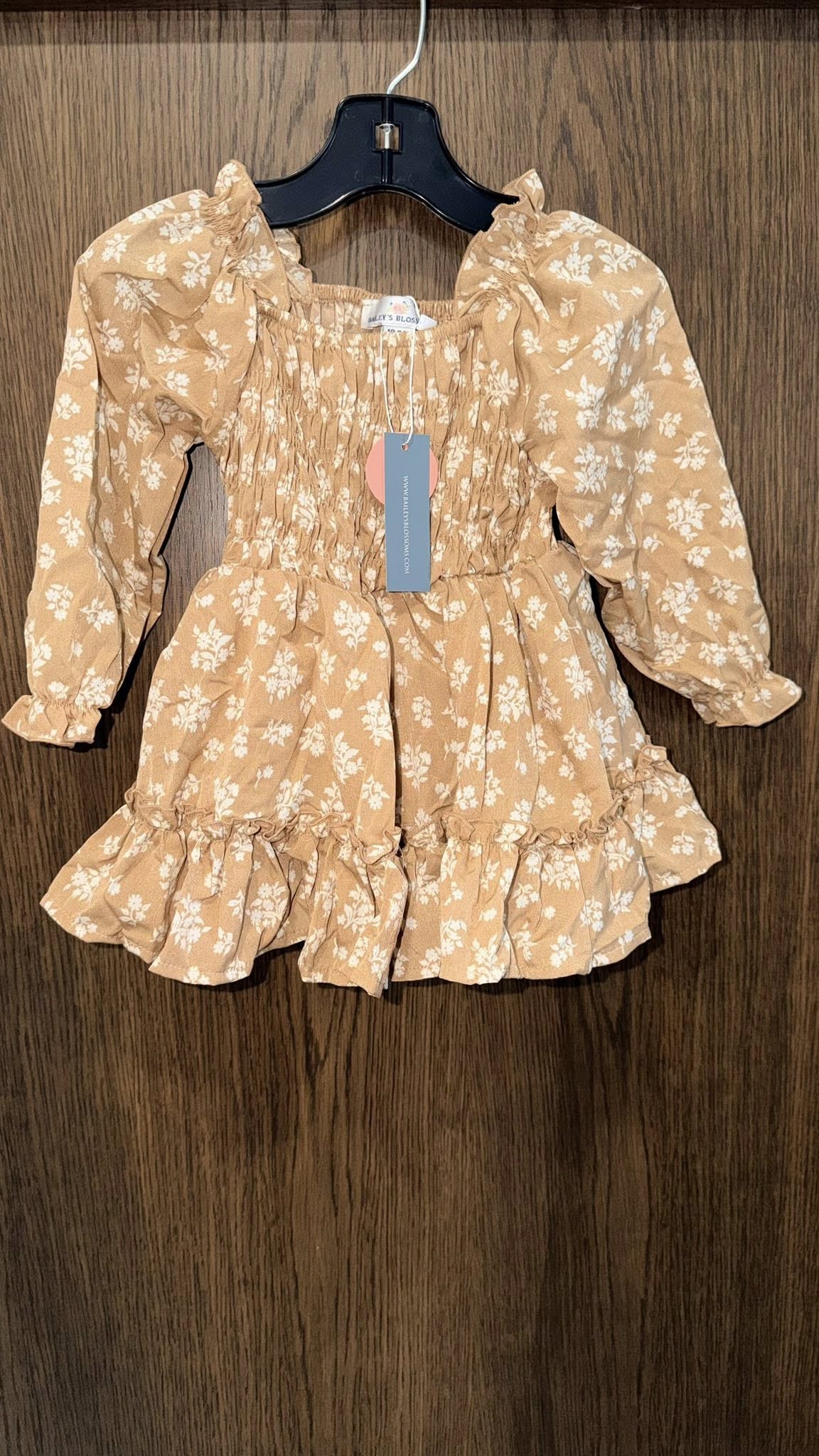 Baileys Blossoms Girls NWT Long Sleeve Ruffle Dress 18-24 mos