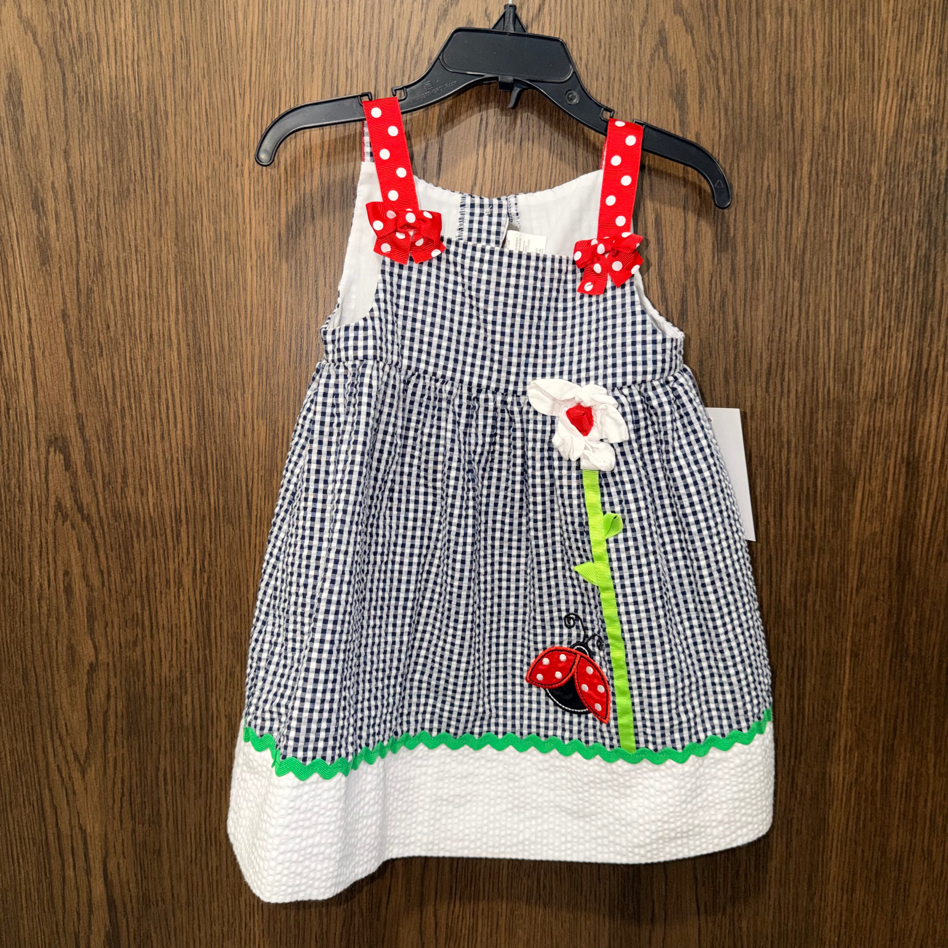 Emily Rose Girls Vintage Gingham Dress  24 mos