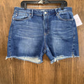 Dear John Women’s Denim Shorts Size 33