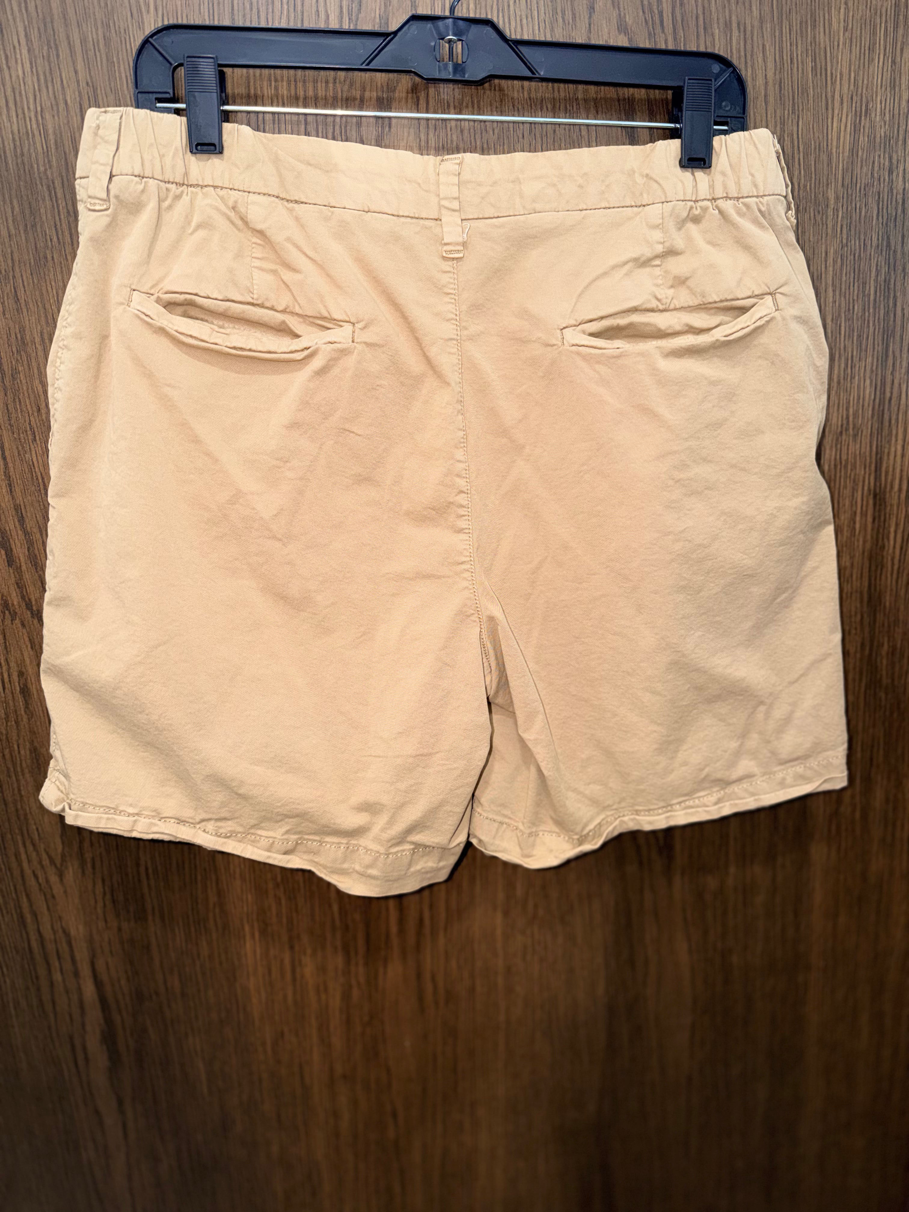 American Eagle Men’s Khaki Shorts Size 32