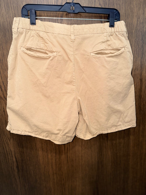 American Eagle Men’s Khaki Shorts Size 32