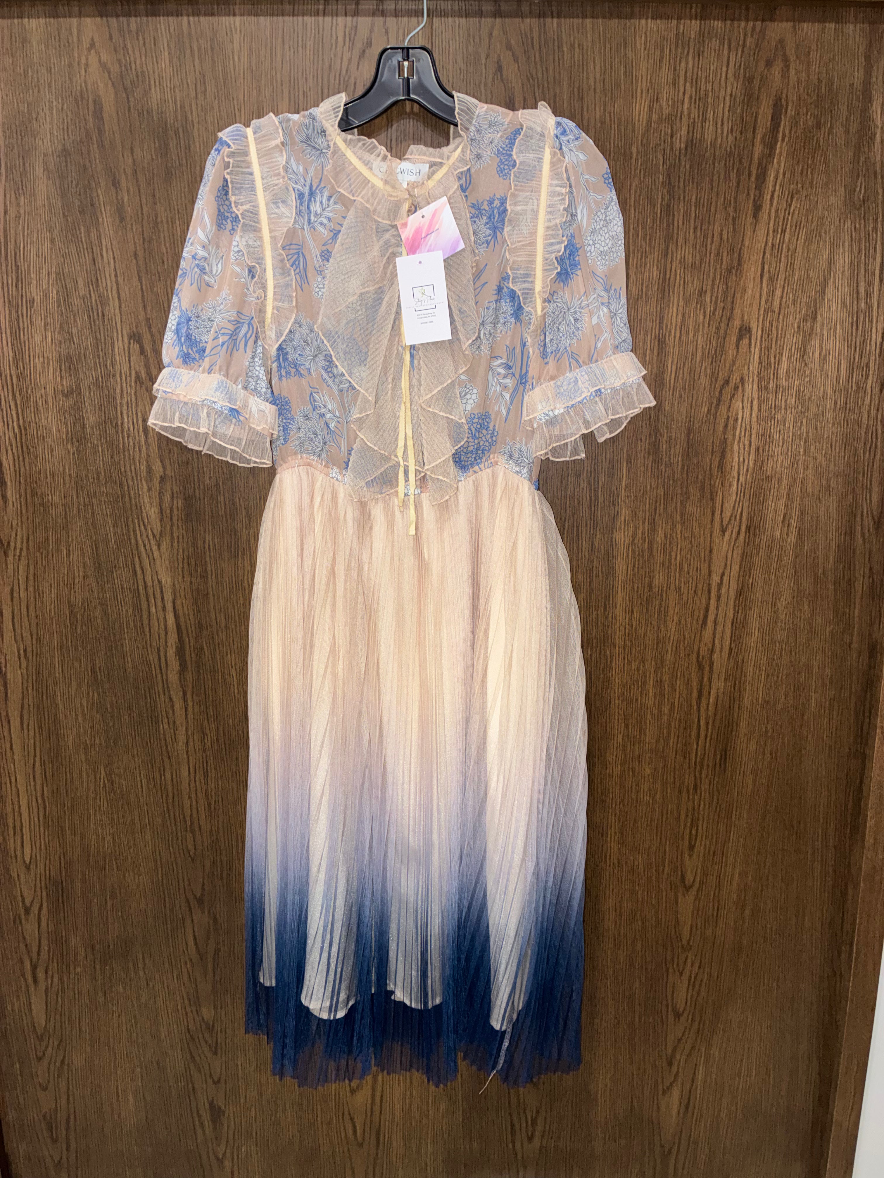 Chic Wish NWT We Know It All Gradient Pleated Mesh Tulle
Dress Size Large