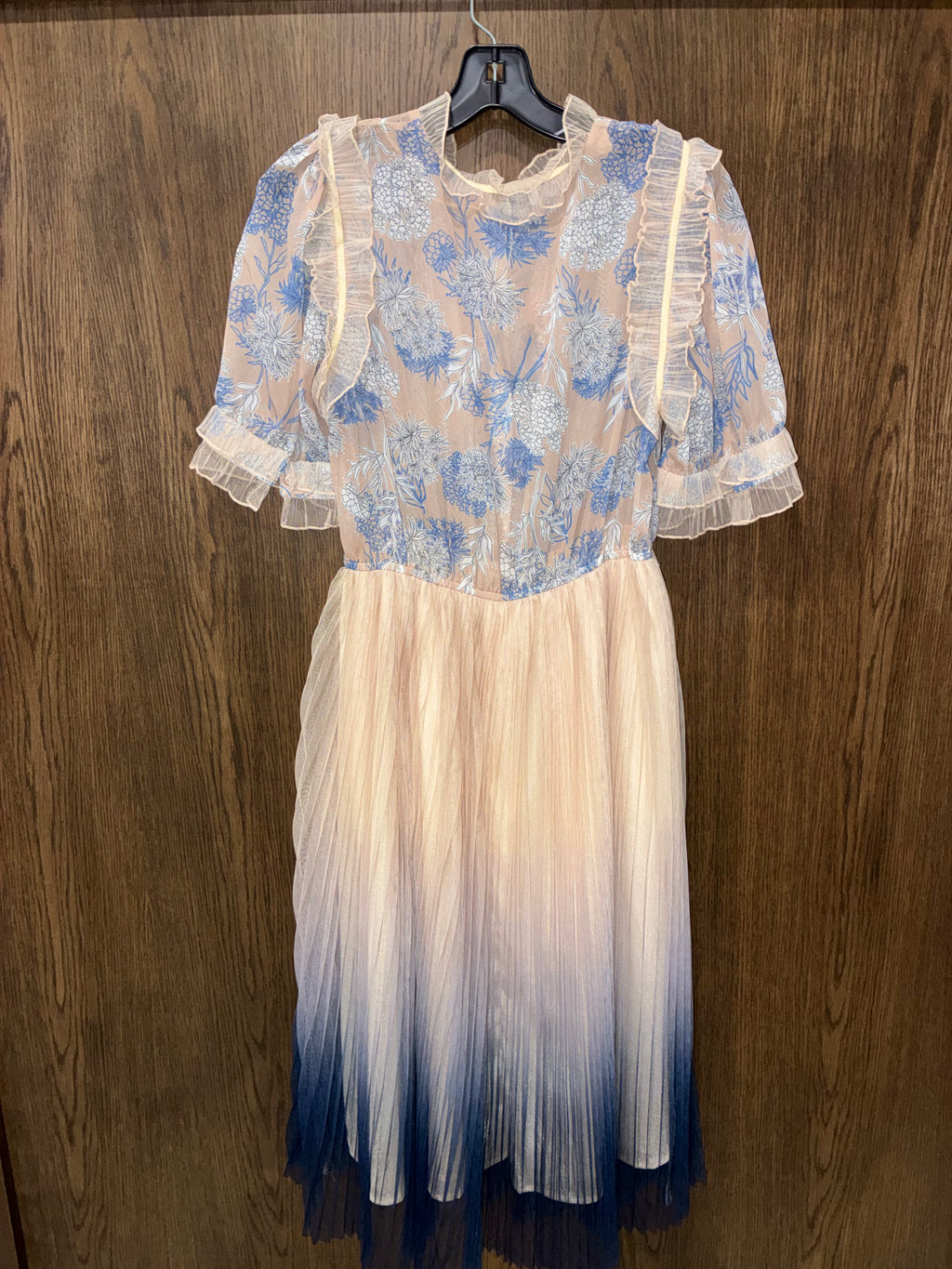 Chic Wish NWT We Know It All Gradient Pleated Mesh Tulle
Dress Size Large