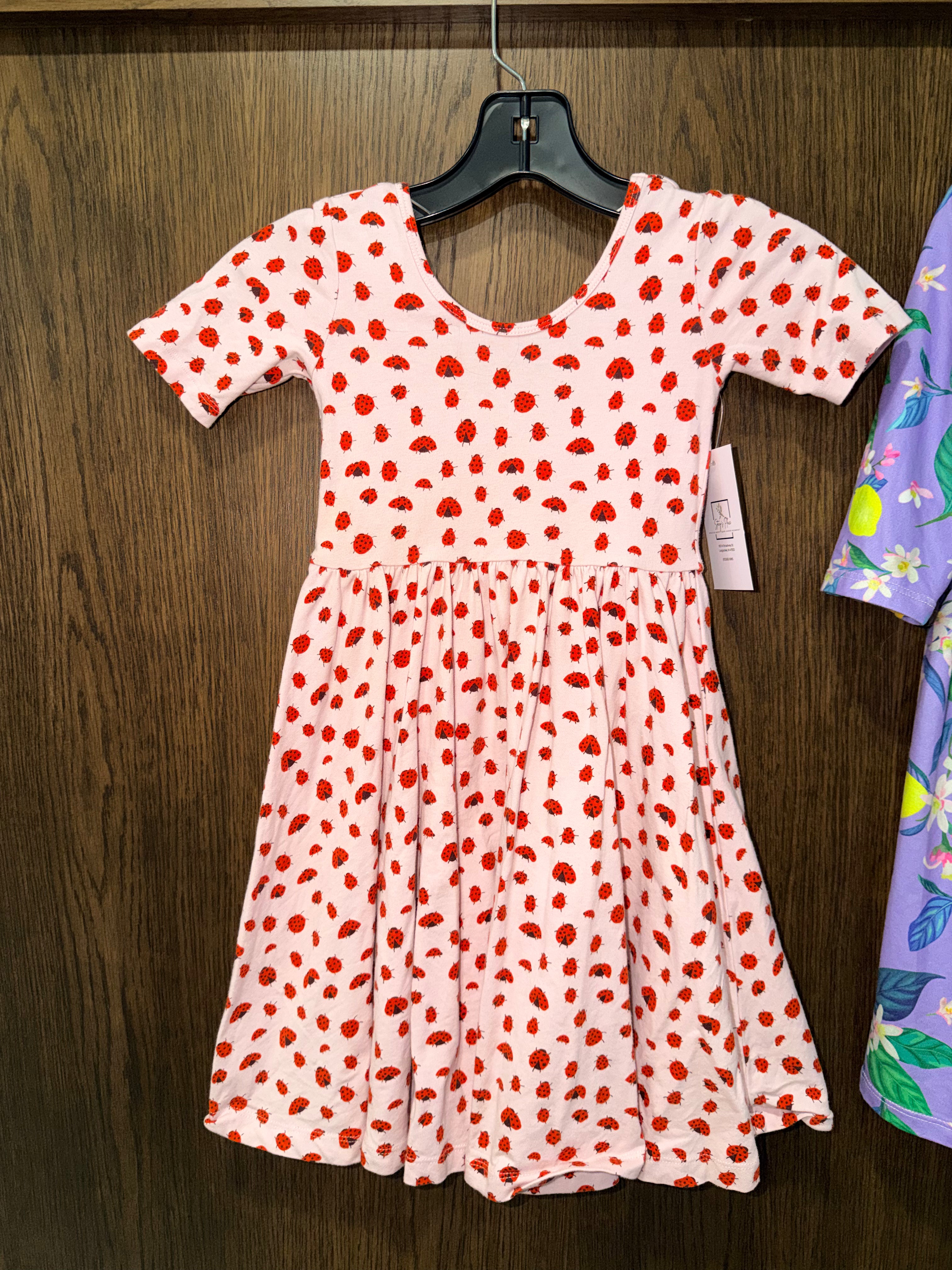 Alice + Ames Girls  Lady Bug Ballerina Dress Size 5